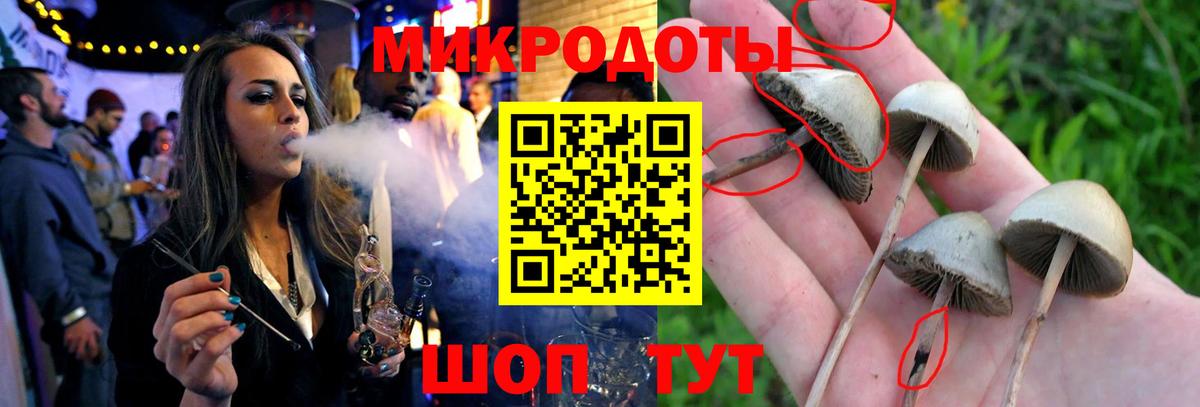 Псилоцибиновые грибы ЛСД  Псилоцибиновые грибы MAGIC MUSHROOMS  Анапа  Вход с VPN 
